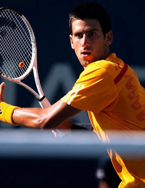 全新的智能 全新的智能